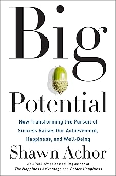 Big Potential: How Transforming the Pursuit of Success Raises Our Achievement, Happiness, and Well-Being